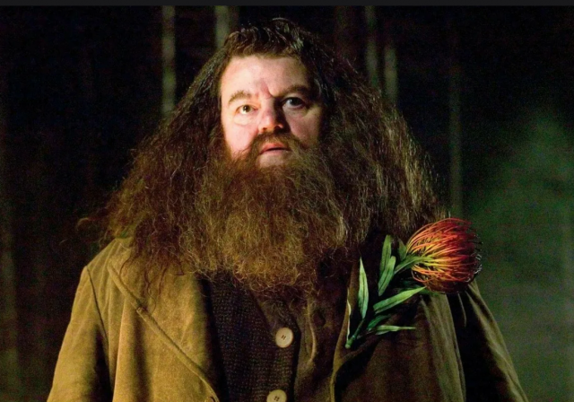    Кадр из фильма «Гарри Поттер и Кубок Огня»