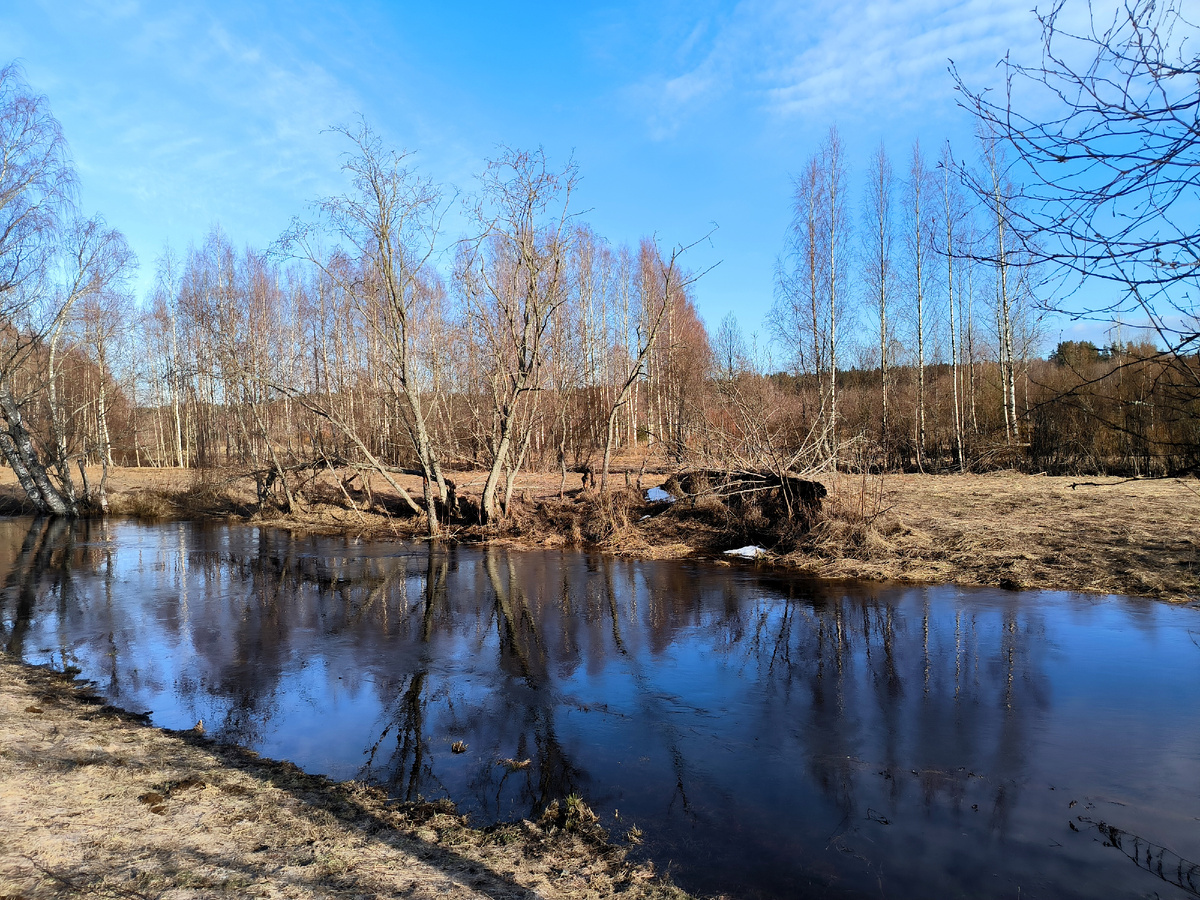 фото: Maksim Konstantinov/Global Look Press