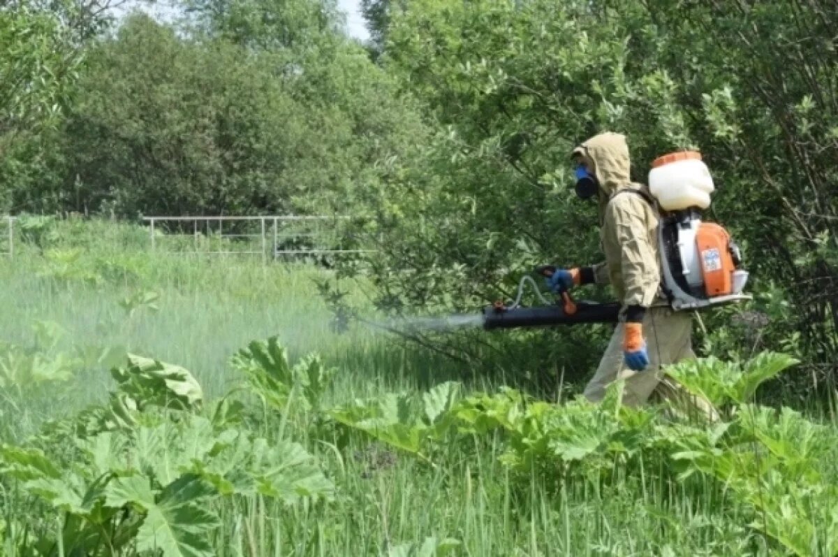    Вырвать с корнем.