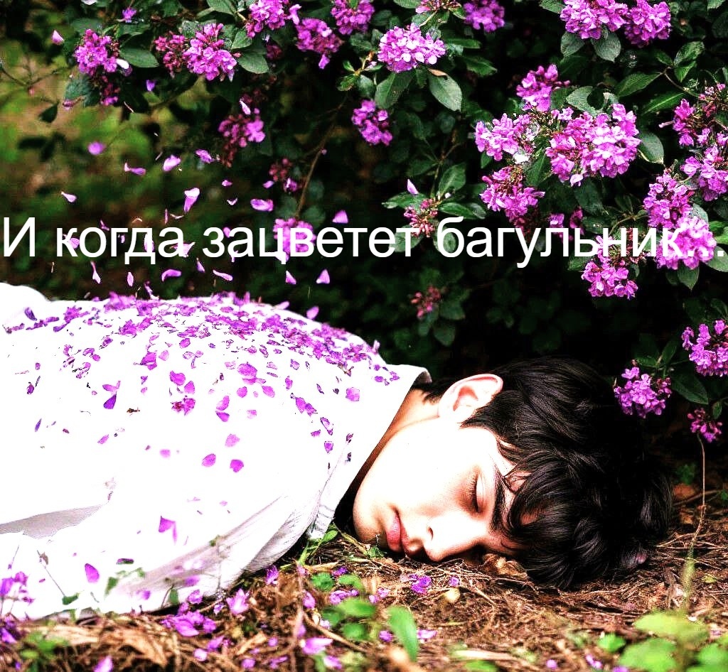 Изображение сгенерировано нейросетью Шедеврум