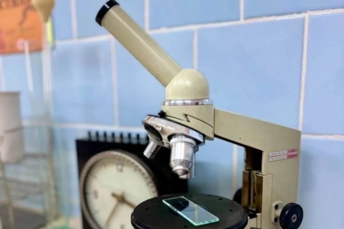    Музей донорства с уникальными экспонатами открыли на Камчатке