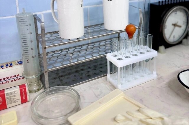    Фото: Правительство Камчатского края