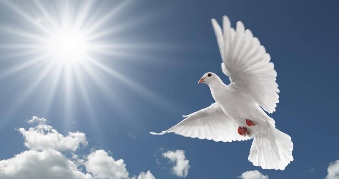 Фото из открытых источников 