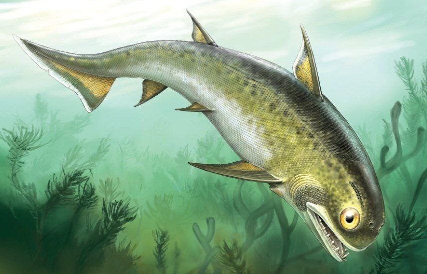 Силурийский акантод Nerepisacanthus.