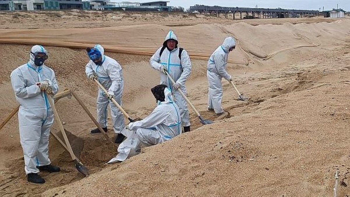    Фото: t.me/officialsochi