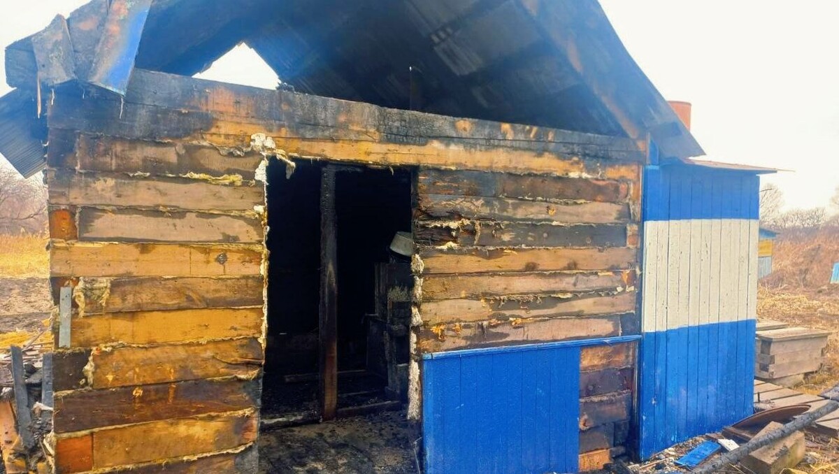     Источник: mchs_vdk