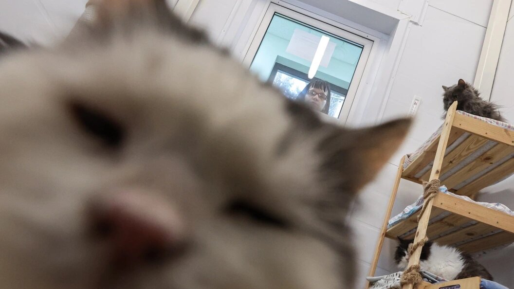    Belkin Alexey/Globallookpress