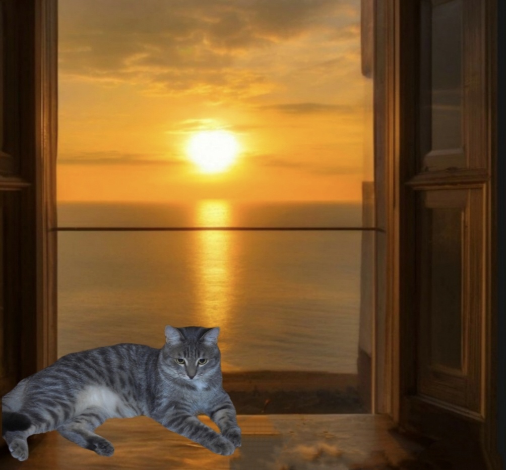 Сильвер-владелец Марины, ну или наоборот 🤣