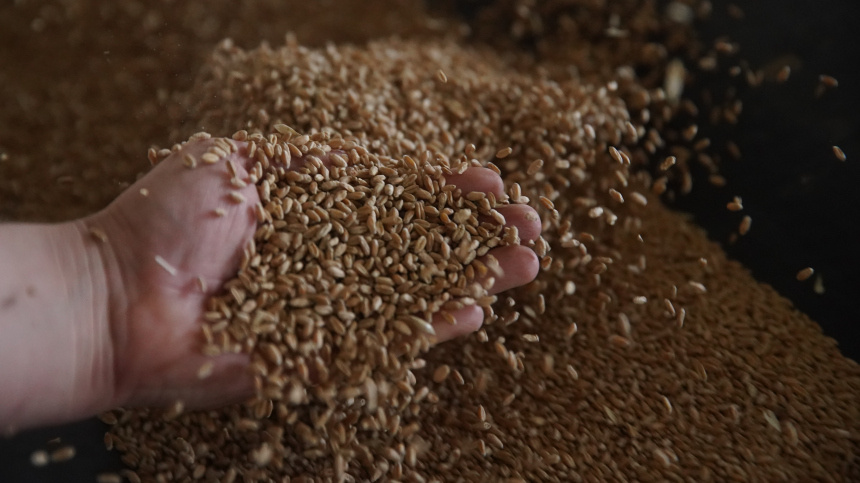    Фото: ИЗВЕСТИЯ/Эдуард Корниенко; 5-tv.ru