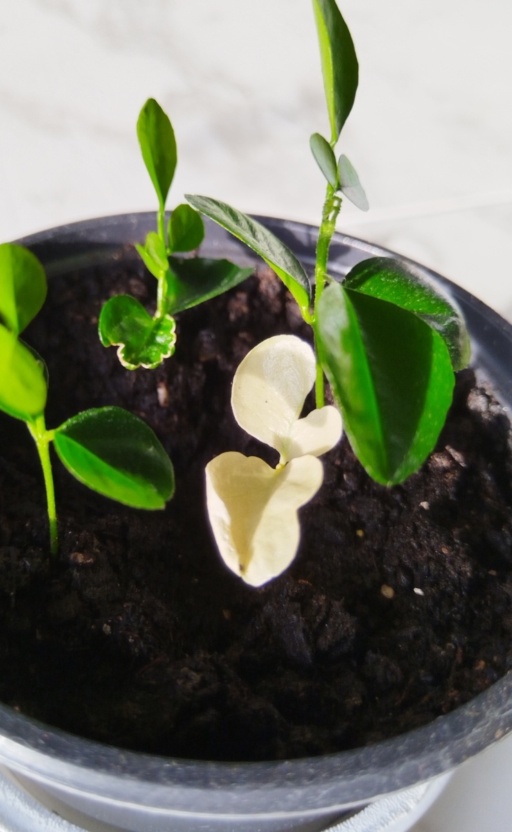 15 марта 2025 года