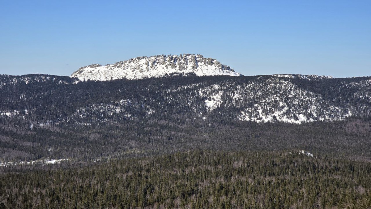 Откликной гребень