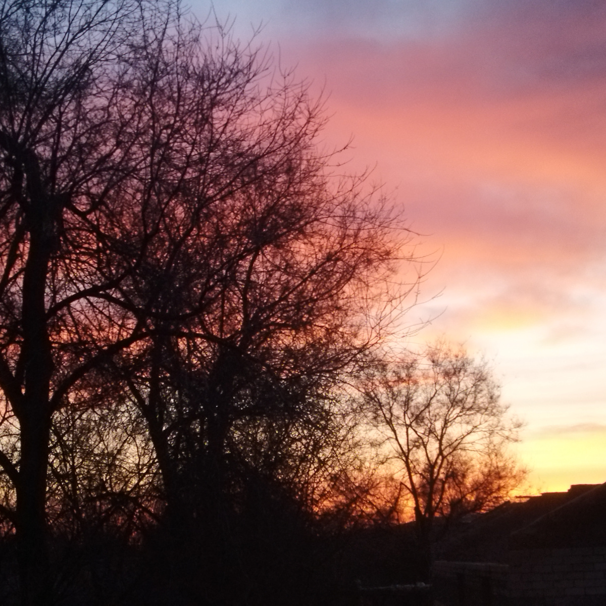 краски восхода