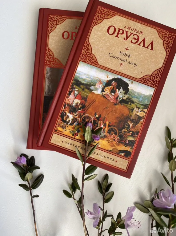 Фото автора. Первая партия книг.