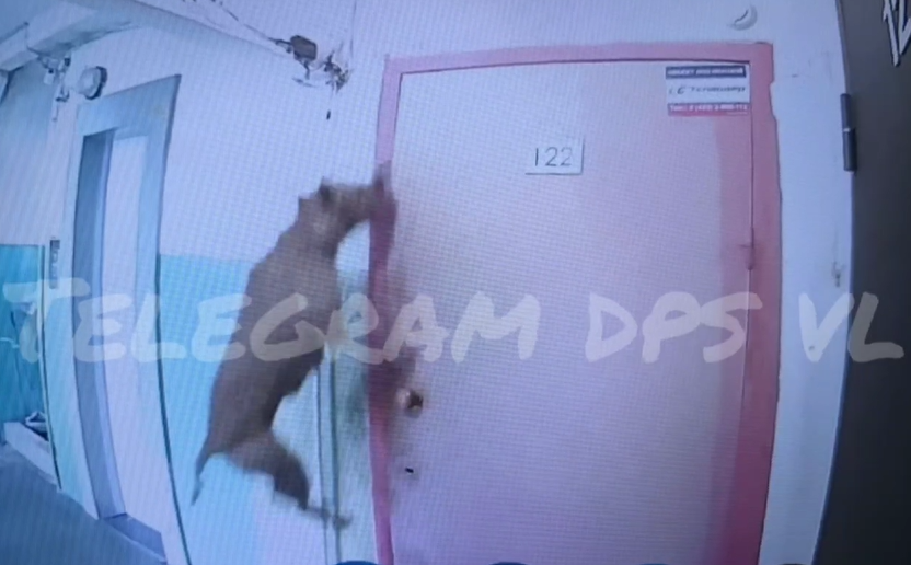    Источник фото: