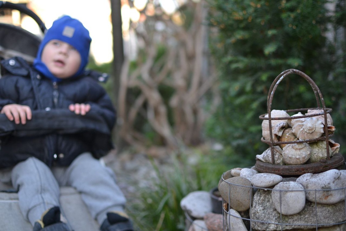 Галерея, 7 фотографий