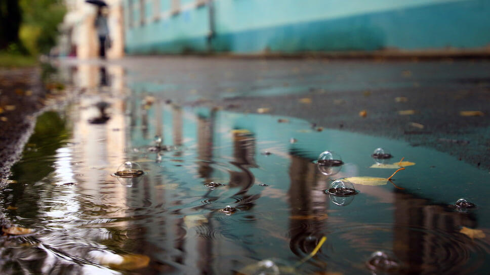 Фото: Данила Егоров / Коммерсантъ