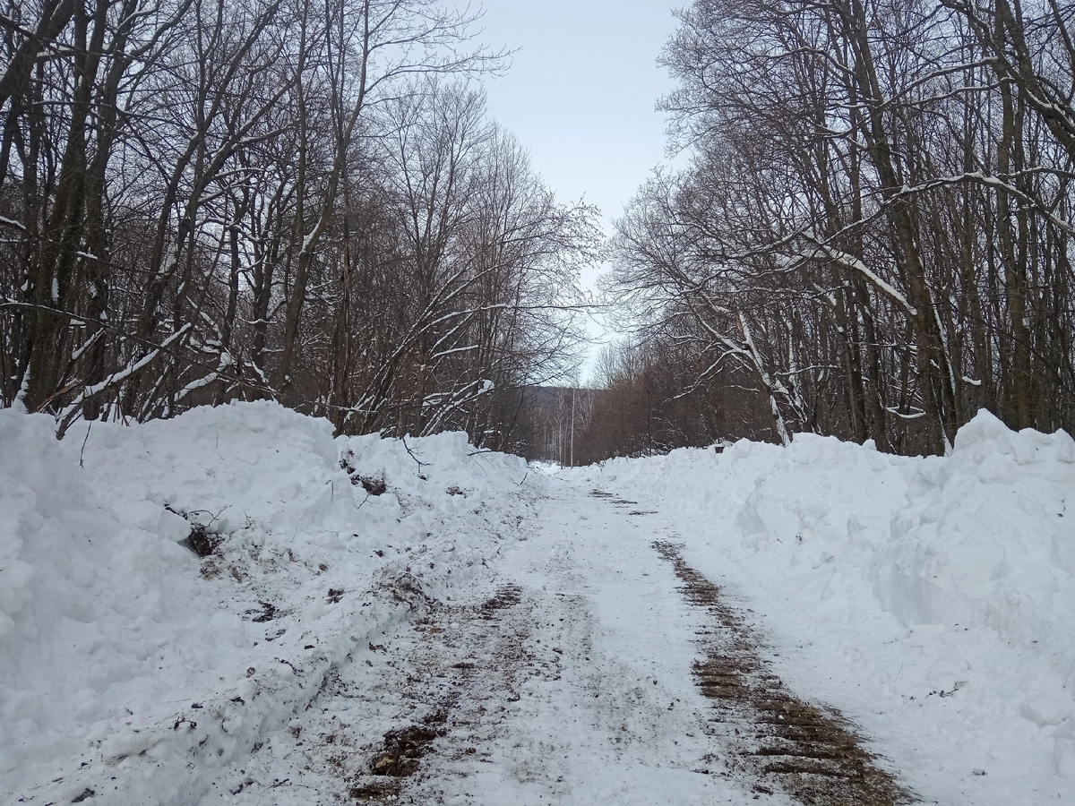 Почищенная трактором дорога от газовой подстанции до зимника. Фото автора. 