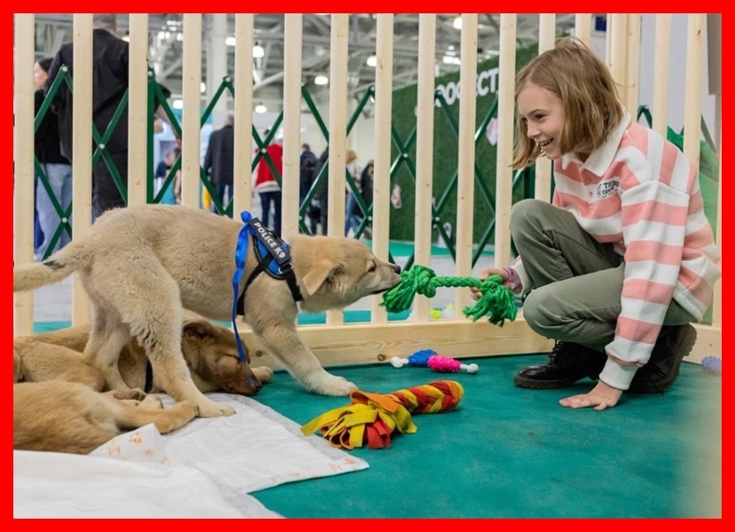 на празднике будет весело