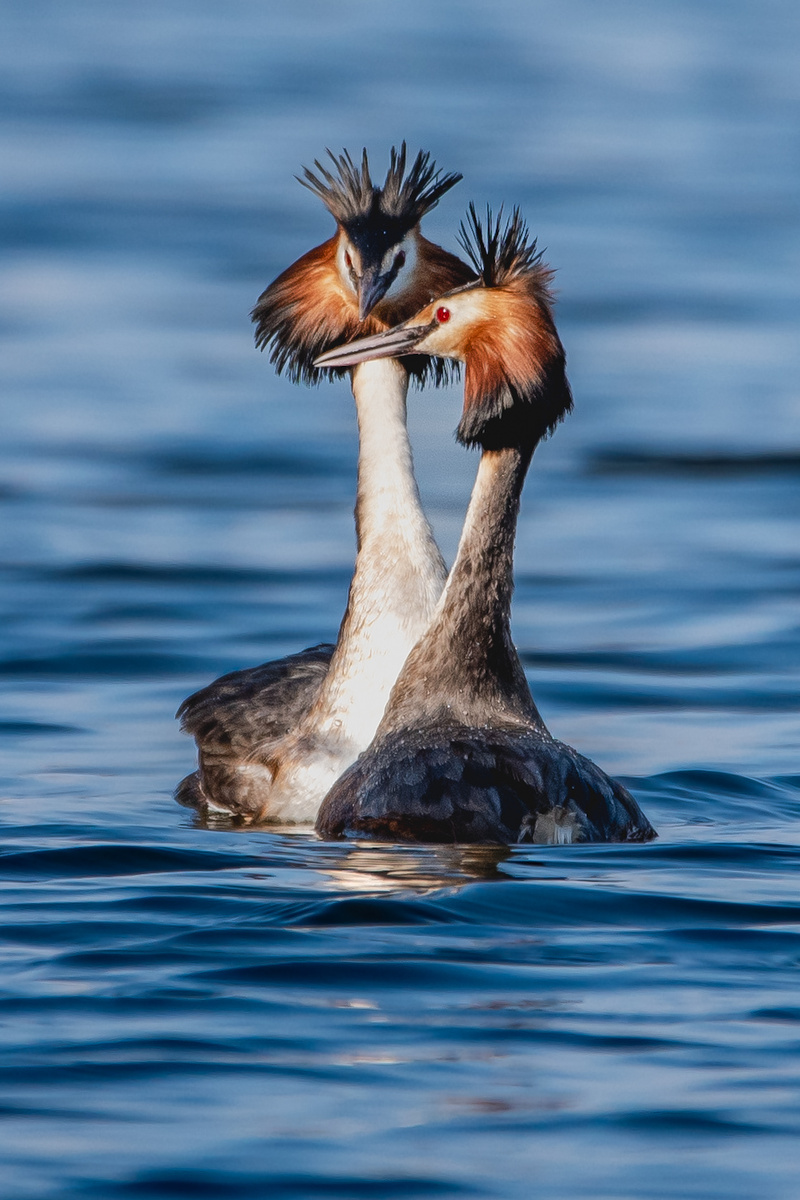Помолчим о чем-то важном...