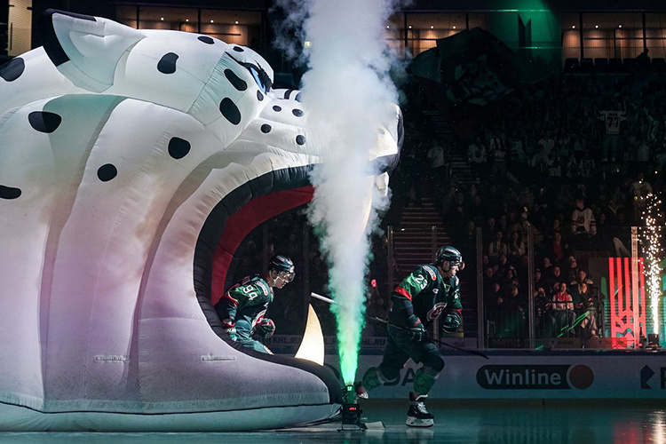    «Надо перенести лучшие образцы нашего хоккея на плей-офф».   
Фото:  ak-bars.ru