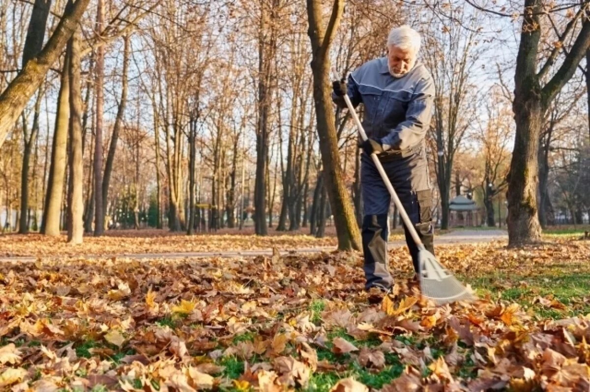    Останемся без дворников?