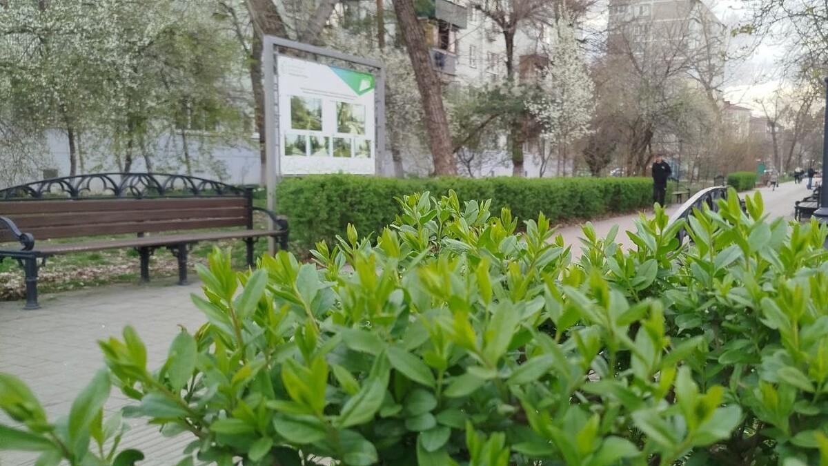    Фото: телеканал «Краснодар»