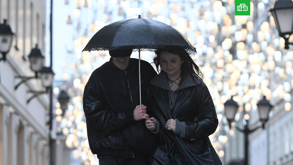    Фото: РИА Новости © 2025, Максим Блинов