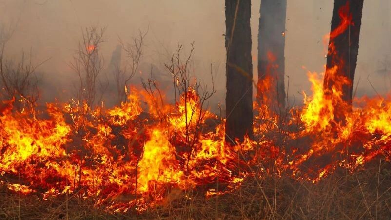    Фото: mironov/Shutterstock/Fotodom