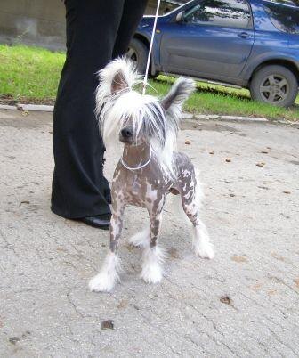 Его Величество Успех