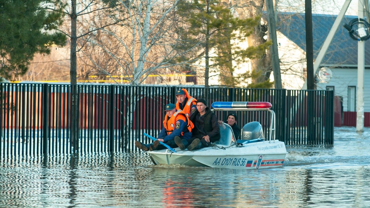     Источник: Из соцсети губернатора Оренбургской области