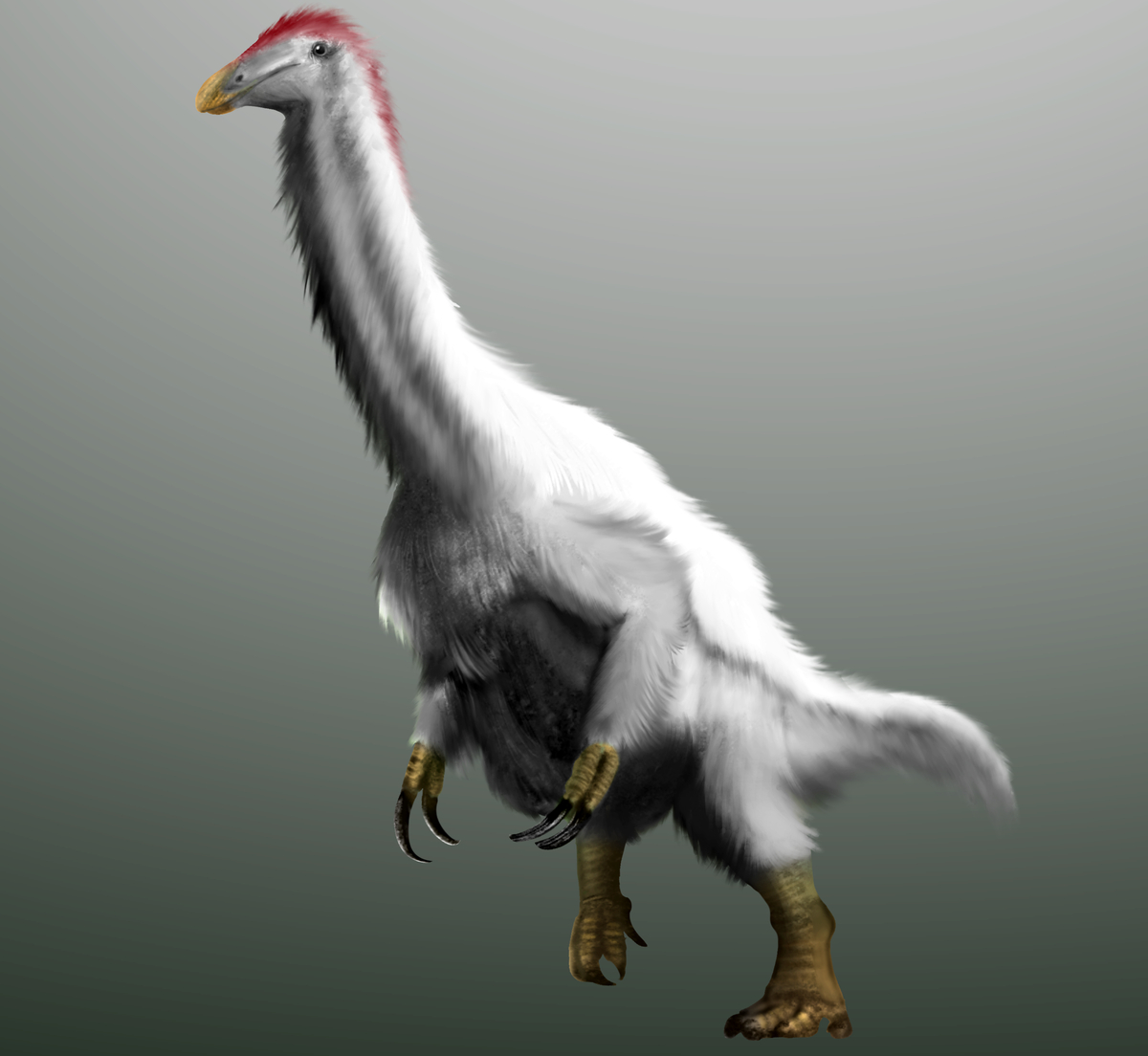 Реконструкция от 982 с сайта Pixiv.net