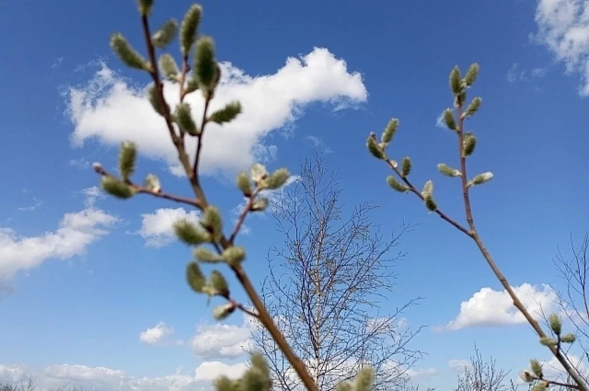    До +13 потеплеет в Свердловской области к концу недели