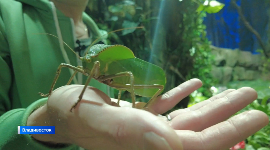    Источник фото: