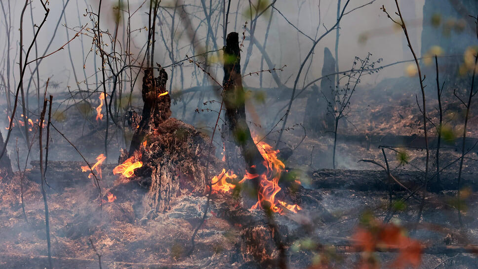 Фото: Марина Молдавская / Коммерсантъ