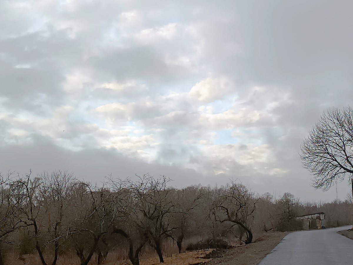 Утро 26 марта