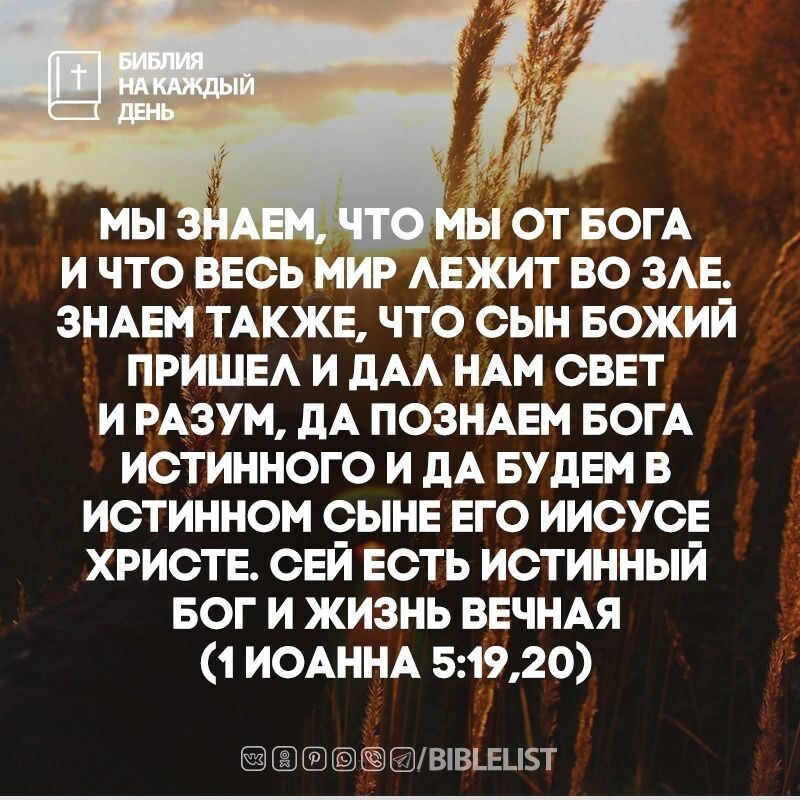 Из открытого источника Яндекса.