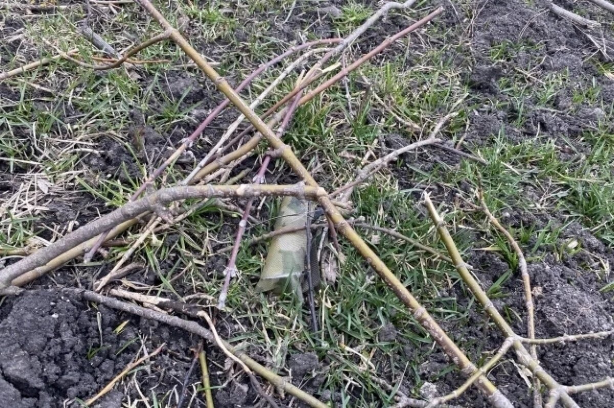    Хейсканен: ВСУ с дронов сбрасывают на Курскую область замаскированные мины