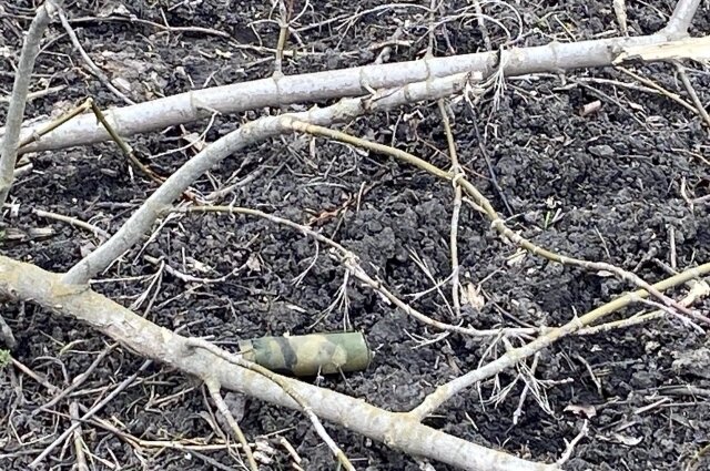    Фото: Кости Хейсканен