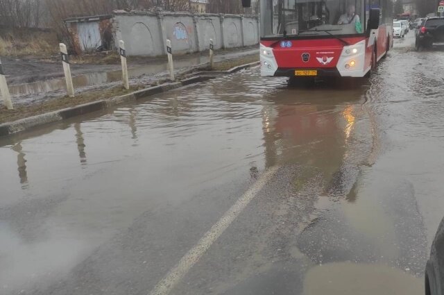    Фото: АиФ в Туле/ Алексей Мурат