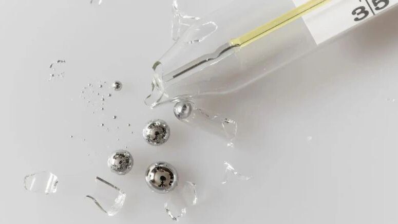    Фото: kakteen/Shutterstock/Fotodom