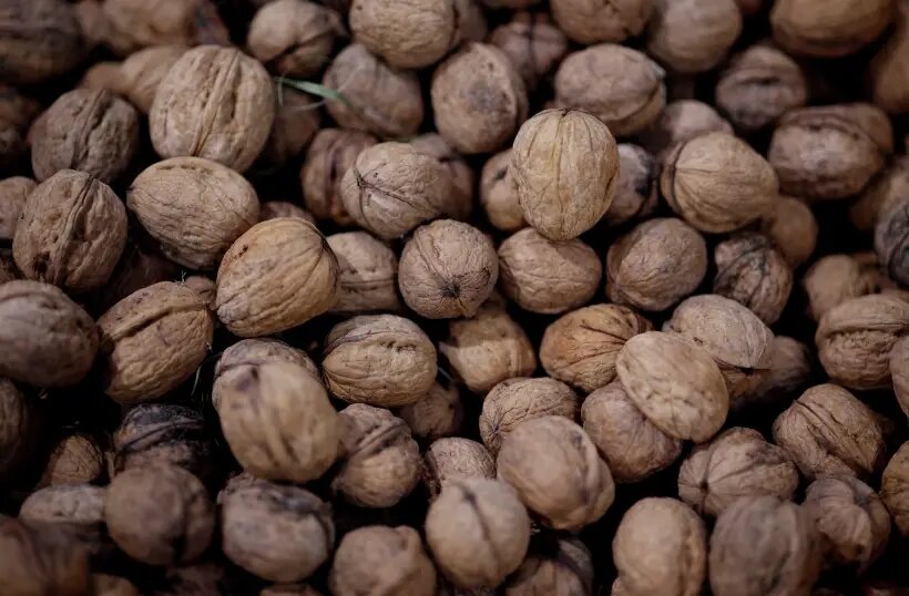     © РИА Новости. Виталий Тимкив