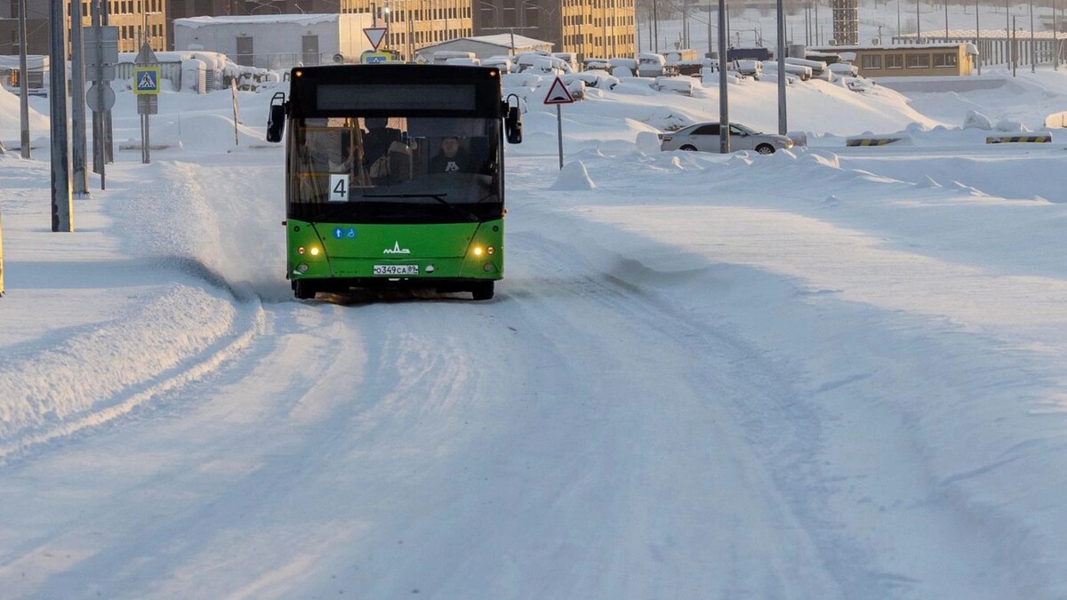    Фото: Федор Воронов/«Ямал-Медиа»