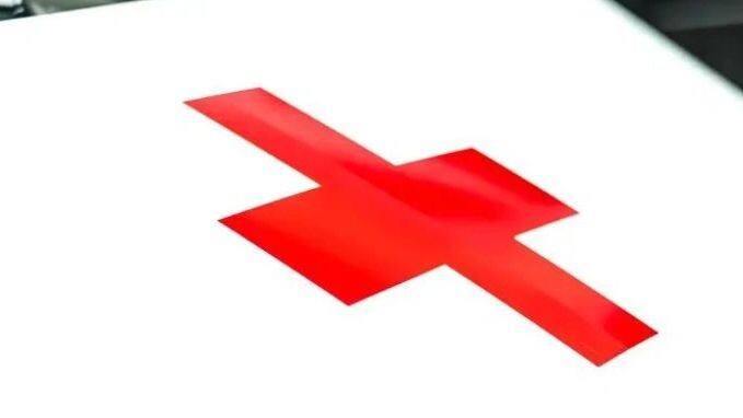    Фото: sibfox/Shutterstock/Fotodom