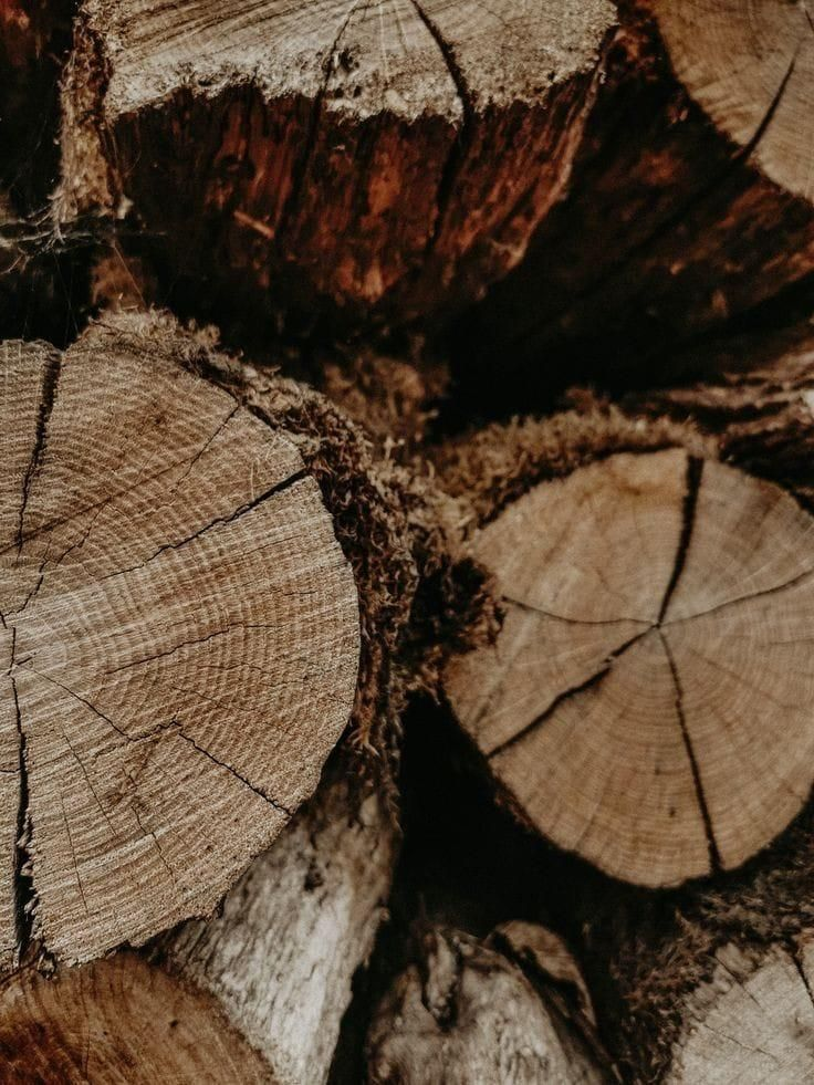 Автоматизация процессов