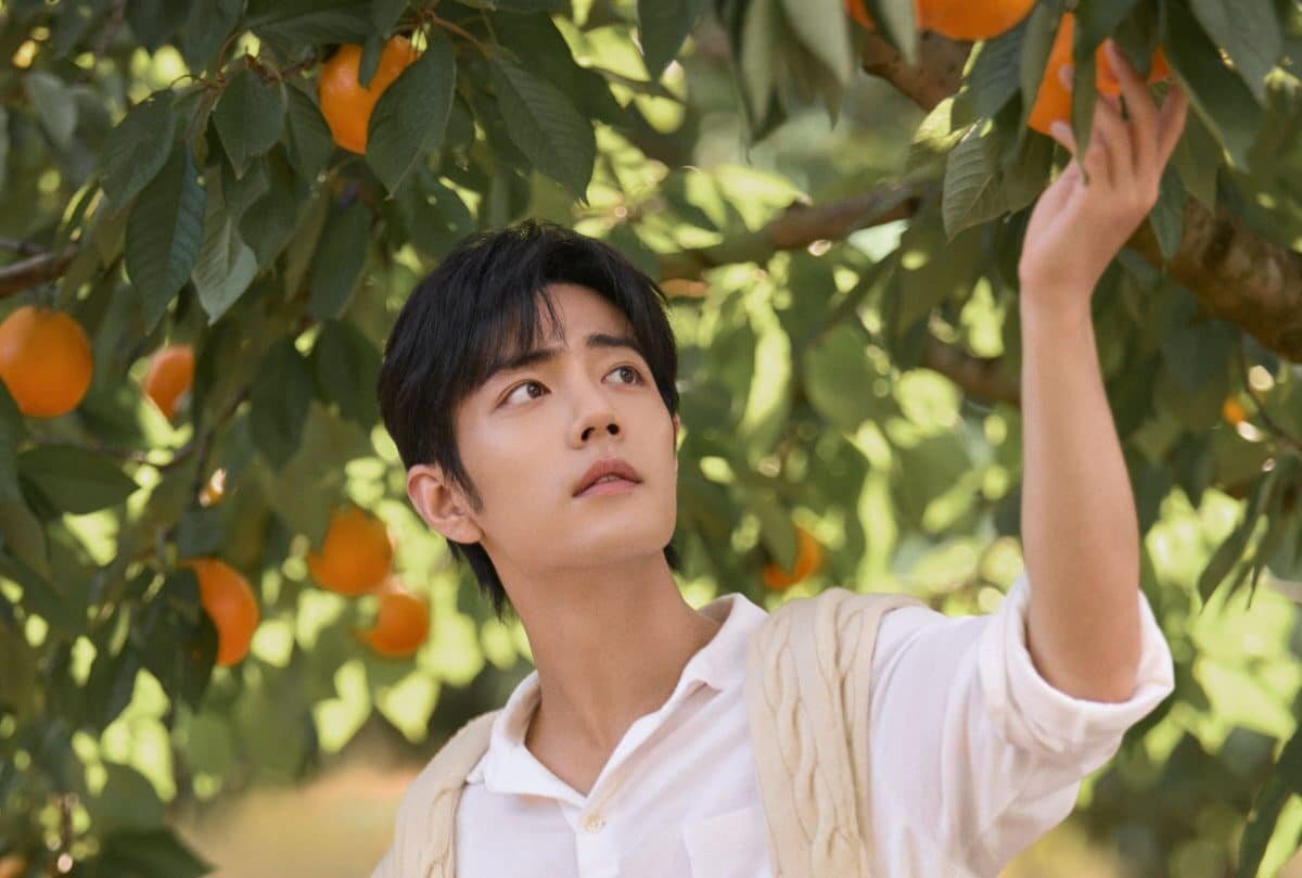    @X玖少年团肖战DAYTOY