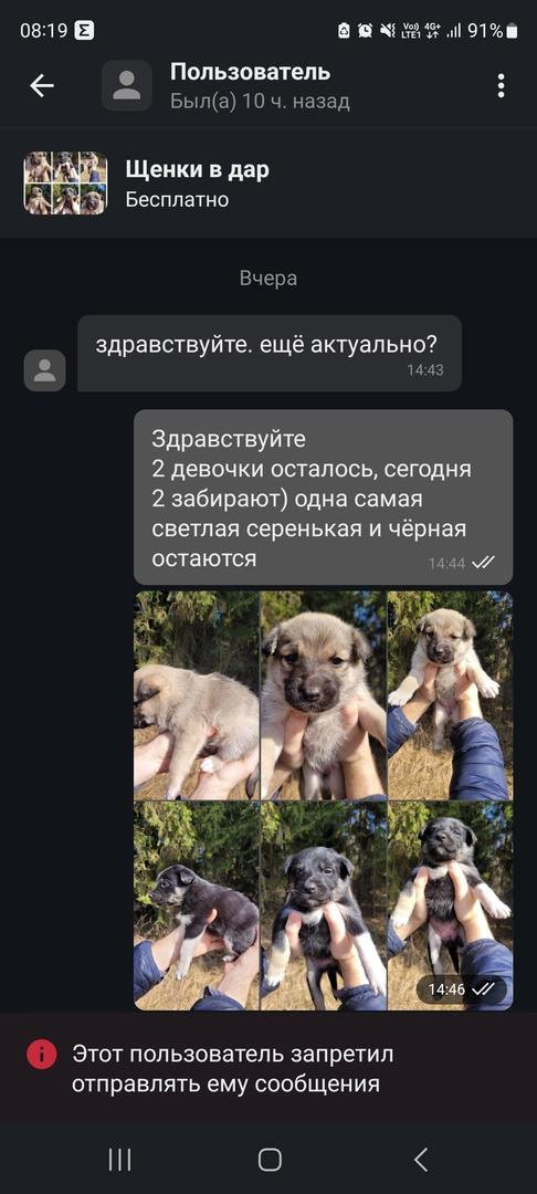 Листайте вправо, чтобы увидеть больше изображений