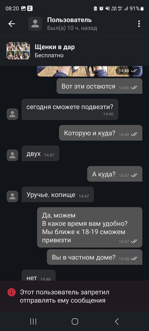 Листайте вправо, чтобы увидеть больше изображений