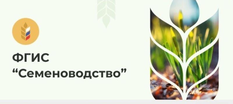    Регистрация в ФГИС «Семеноводство» - обязательна!