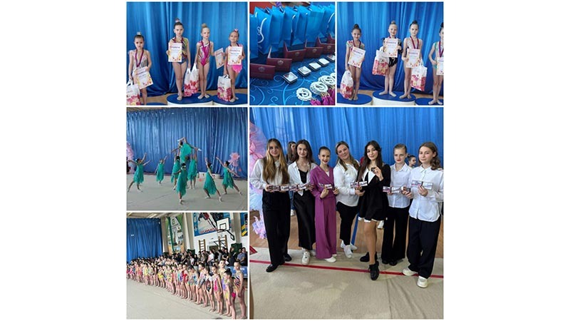    Гимнастки выступили с отличными результатами