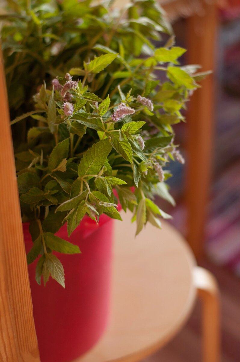 Личное фото 